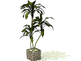 室內植物3d模型