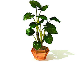 室內植物3d模型