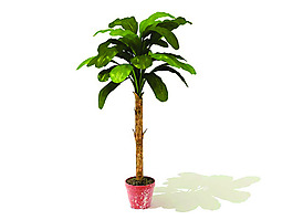 室內植物3d模型