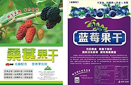 蓝莓果干和桑葚果干宣传彩页设计