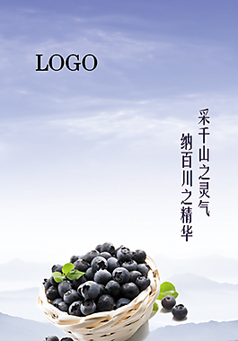 宣傳海報(bào)