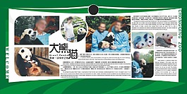 大熊貓海報(bào)