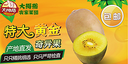 手機端獼猴桃海報
