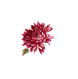 紅色花朵