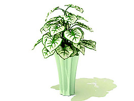 室內(nèi)植物3d模型
