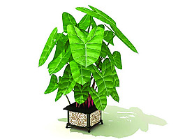室內(nèi)植物3d模型