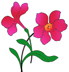 手绘鲜花