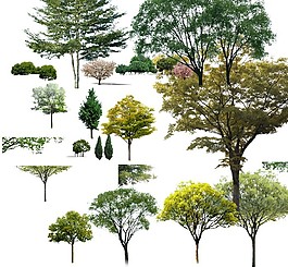 花草樹木
