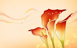 紅色花朵背景