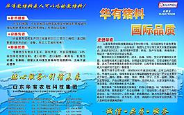 豬料宣傳單