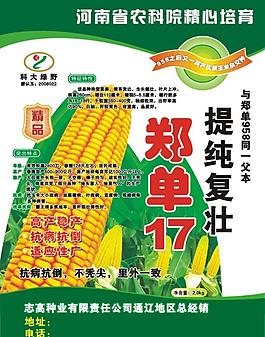 種子彩頁