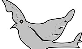 鳥