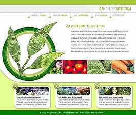 植物蔬菜網站模板
