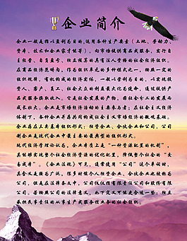 企业简介