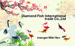 彩魚(yú)名片