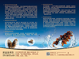 海參單頁