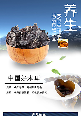 木耳詳情