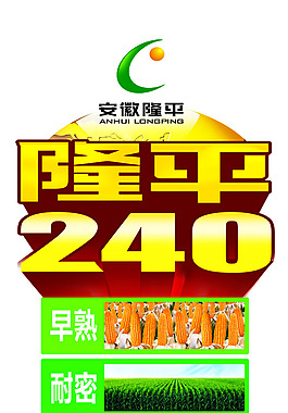 隆平240
