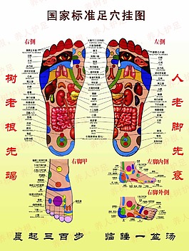 国家标准足穴挂图