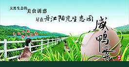 咸鴨蛋