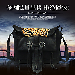 欧美女包图片
