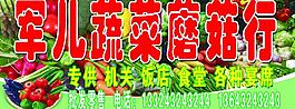 蘑菇