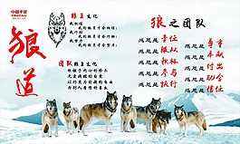 狼道