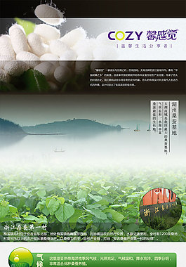 蚕丝被详情