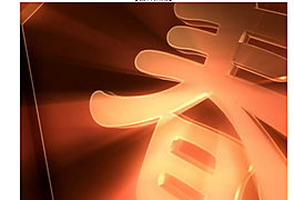 春节视频模板