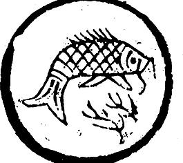 年年有魚 魚  矢量線