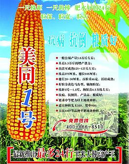 美同1號(hào)