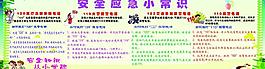 小學生安全應急小常識