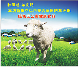 肥羊火鍋海報