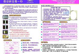 秋歌月嫂