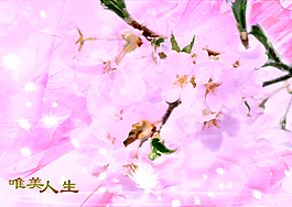 人生唯美