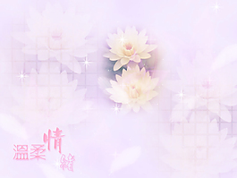 溫柔情緒