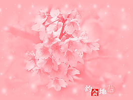 約會(huì)地點(diǎn)