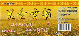 昆侖雪菊