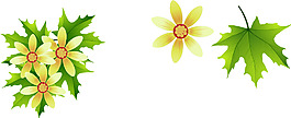 小黃花