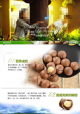 夏威夷果淘寶網(wǎng)頁(yè)素材下載