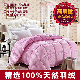 高品質(zhì)羽絨家紡主圖