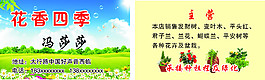 花卉名片