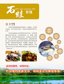 石蛙養(yǎng)殖