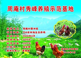 養(yǎng)殖示范基地