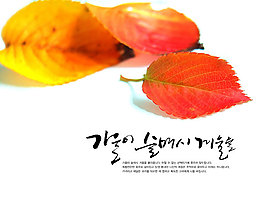為紅而生