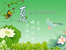 夏之荷花設計素材psd源文件