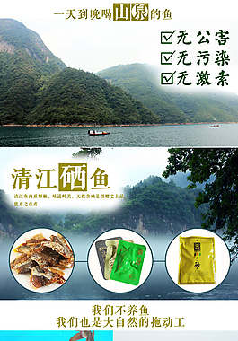 清江魚創意海報圖