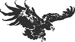 矢量鷹