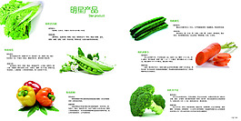 有機(jī)蔬菜畫冊(cè)