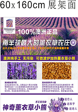 薰衣草x展架面